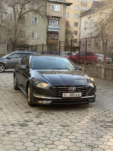 hyundai sonata 2009: Hyundai Sonata: 2019 г., 2 л, Автомат, Газ, Седан