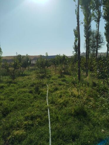 Продажа участков: 300 соток, Для сельского хозяйства, Красная книга — 9