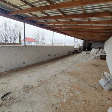 Torpaq sahələrinin satışı: Kənd təsərrüfatı, Mülkiyyətçi, Bələdiyyə, Kupça (Çıxarış) — 12