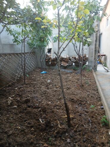 Uzunmüddətli kirayə evlər: 80 kv. m, 3 otaqlı, Qaz, İşıq, Su -da lalafo.az — 30 Uzunmüddətli kirayə evlər: 80 kv. m, 3 otaqlı, Qaz, İşıq, Su — 30