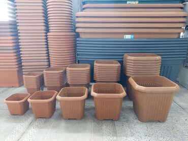 Bitkilər üçün dibçəklər: Dipçək dipcekler dipcek qablari dipcek qablar gul aabilar Dipcekler -da lalafo.az — 11 Bitkilər üçün dibçəklər: Dipçək dipcekler dipcek qablari dipcek qablar gul aabilar Dipcekler — 11