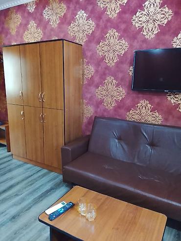 Посуточная аренда квартир: 1 комната, Душевая кабина, Постельное белье, Кондиционер — 14