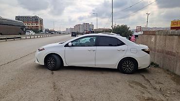 corolla 2006: Toyota Corolla, ağ rəng,sedan gövdə. I - Nömrə nişanı: 99-KY-573 — 4