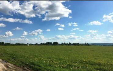куплю землю сельхозназначения: Для сельского хозяйства
