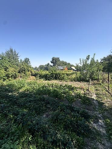 сузики вагон р: 🏡 ПРОДАЁТСЯ ДАЧА В КАШКА-СУУ | БИШКЕК Продаётся уютная дача в — 8