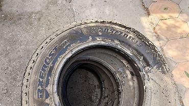 Шины 205 / 70 / R 15, Зима, Б/у, Комплект, RoadX at lalafo.kg Шины 205 / 70 / R 15, Зима, Б/у, Комплект, RoadX