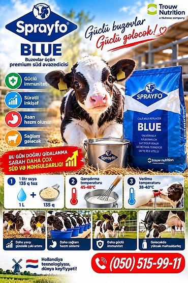 yemler: SPRAYFO BLUE – Buzovlar üçün quru süd / süd / süd qurusu / buzov — 1