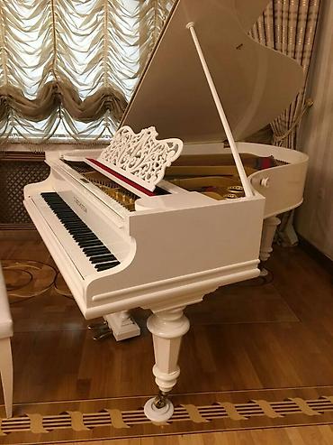 Klavişli alətlər: Royal BECHİSDEİN Almaniya stehsalı — 2