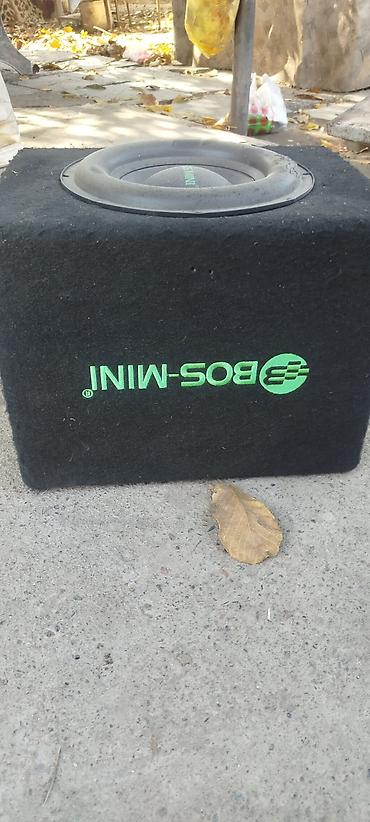 Автоэлектроника: Сабвуфер BOSS Mini в корпусе - Активный сабвуфер в компактном — 1