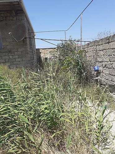 heyet evlerı: 5 otaqlı, 119 kv. m, Kredit yoxdur, Təmirsiz — 8