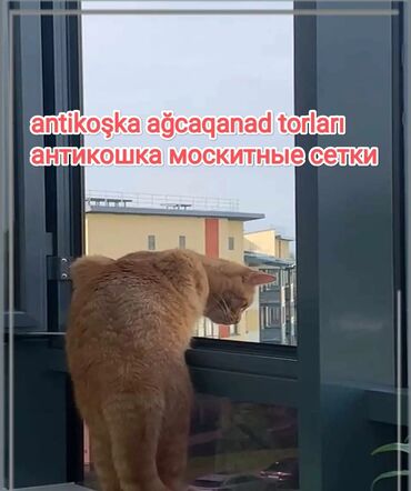 Jalüzlər: Жалюзи.Мы выполняем полный цикл: измеряем, изготавливаем и — 8