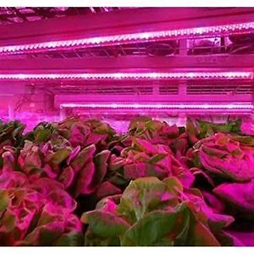 Rasveta: GROW LED TRAKA ZA RAST BILJAKA 3:1 5050 DIODE 12V | *Brojni — 12