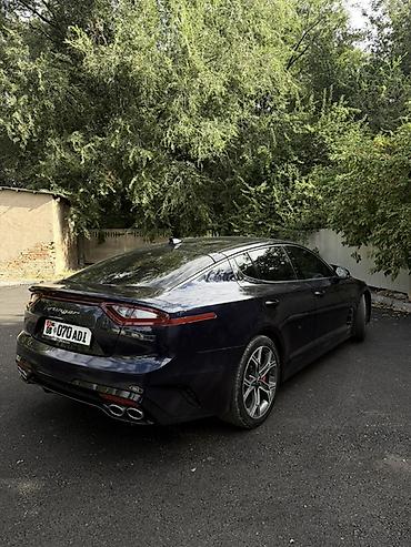перекурить авто: Kia Stinger: 2020 г., 2 л, Автомат, Бензин, Фастбек — 4