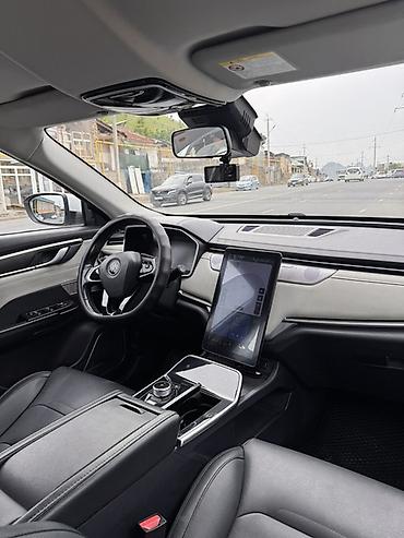 Weltmeister: Weltmeister EX5, 2020 г. — 8