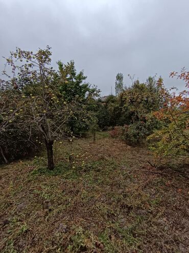 Bağ evlərinin satışı: Alekseevka, 30 kv. m, 15 otaq, Su — 18