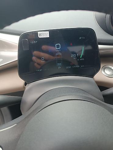 BYD: BYD Dolphin: 2023 г., Электромобиль, Хэтчбэк — 10