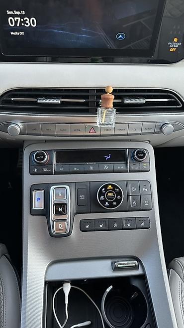 range river: Hyundai Palisade: 2021 г., 2.2 л, Автомат, Дизель, Кроссовер — 5