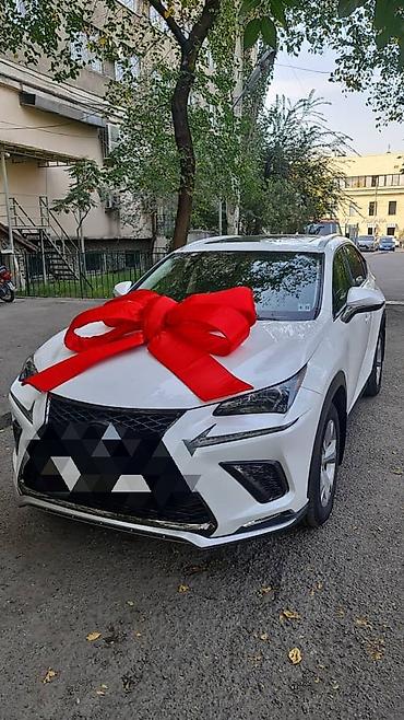 Организация мероприятий: Организация мероприятий | Оформление мероприятий — 13