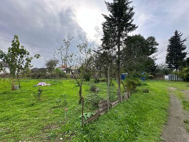 Torpaq sahələrinin satışı: 5 sot, Tikinti — 8