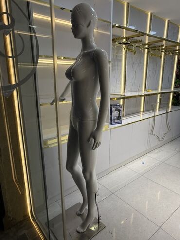 Biznes üçün program təminatı: Qadın, Plastik, plastmas, Boz