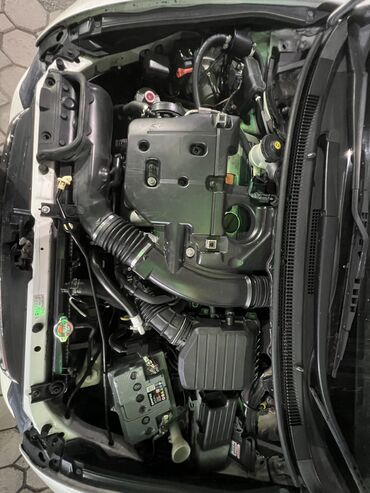 Honda: Honda Odyssey: 2004 г., 2.4 л, Автомат, Газ, Минивэн — 15