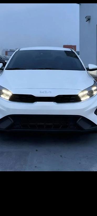 Kia: Kia K5: 2019 г. — 13