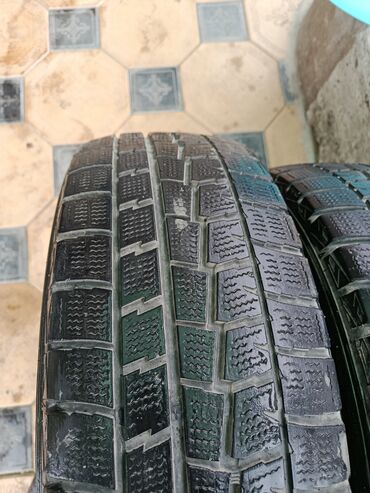 шины бу бишкек оптом: Шиналар 205 / 60 / R 16, Кыш, Колдонулган, Комплект, Жеңил унаалар, Dunlop lalafo.kg да шины бу бишкек оптом: Шиналар 205 / 60 / R 16, Кыш, Колдонулган, Комплект, Жеңил унаалар, Dunlop