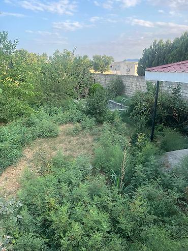 genclik kiraye evler 2026: 1 otaqlı, 700 kv. m, Kredit yoxdur, Təmirsiz — 10