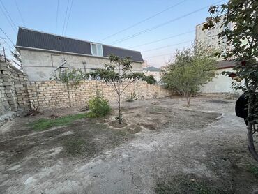 bine merkez: 3 sot, Kənd təsərrüfatı, Mülkiyyətçi, Bələdiyyə