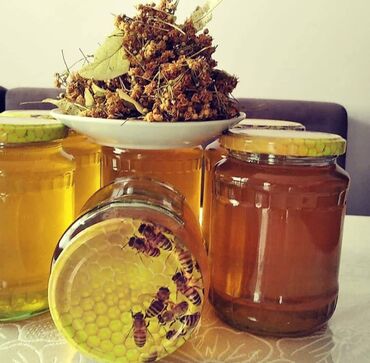qaymaq ciceyi: 🍯 Zaqatala Cökə dağ balı – 100% təbii, qatqısız! Arı pətəyindən