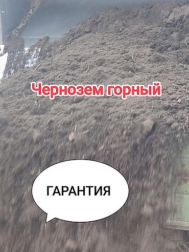 горная земля: В тоннах, Зил — 1