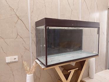 akvarium baku: Dördbucaq akvarium, Boş, 300 l, Ünvandan götürmə — 2
