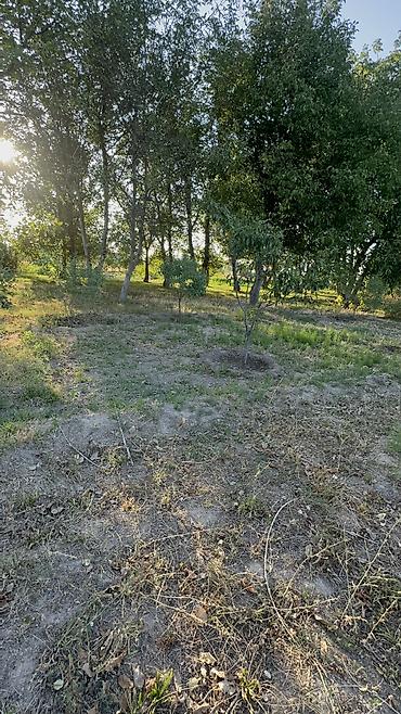 комнаты иссык: Продается дом в селе Туз, от городо 30 мин езды.30 соток. Есть не — 2