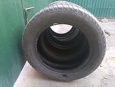 crown athlet: 2 Kapsen и 2 Centara — 3