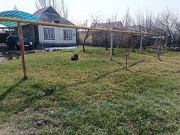 Продажа коттеджей и домов: Продаю дом в сокулуке верхняя зона (спальный район😁 тихо и уютно) at lalafo.kg — 11 Продажа коттеджей и домов: Продаю дом в сокулуке верхняя зона (спальный район😁 тихо и уютно) — 11