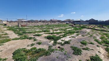 Torpaq sahələrinin satışı: 120 sot, Mülkiyyətçi, Kupça (Çıxarış) — 4