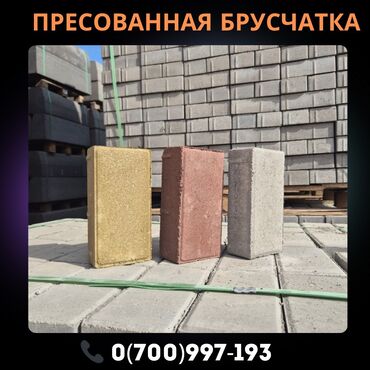 купить пальму комнатную: Paving stones brick, For parking-paving stone, Another material, Басылган, Жаңы, Кепилдик, Stowage
