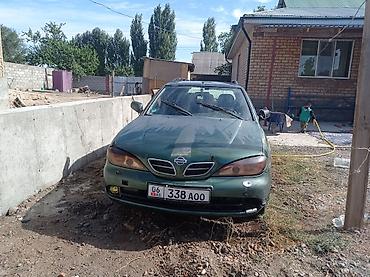 renault 21: Nissan Primera: 2001 г., 1.8 л, Автомат, Бензин, Универсал — 7