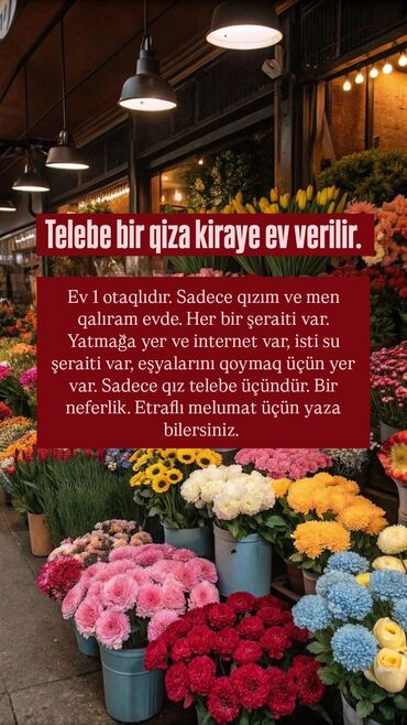 qubada kirayə: Münasib qiymete 🫶🏻🌺