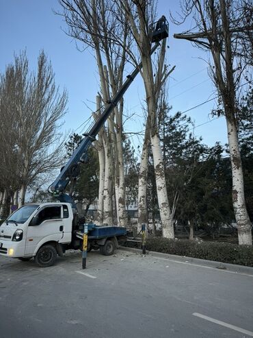 Автовышки: Автовышка, Kia
