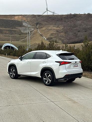Lexus: Lexus NX: 2021 г., 2 л, Автомат, Бензин, Кроссовер — 4