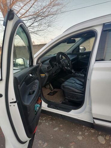 Hyundai: Hyundai Santa Fe: 2019 г., Кроссовер — 25