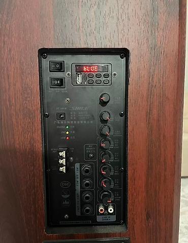 micro cd: Сдается в аренду большая портативная акустическая система SHILE — 2