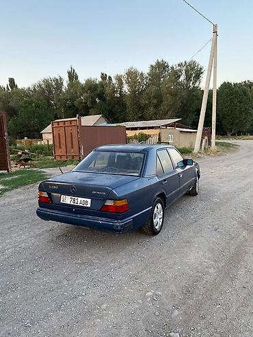 химия на авто: Mercedes-Benz W124: 1989 г., 2.3 л, Механика, Бензин, Седан — 4