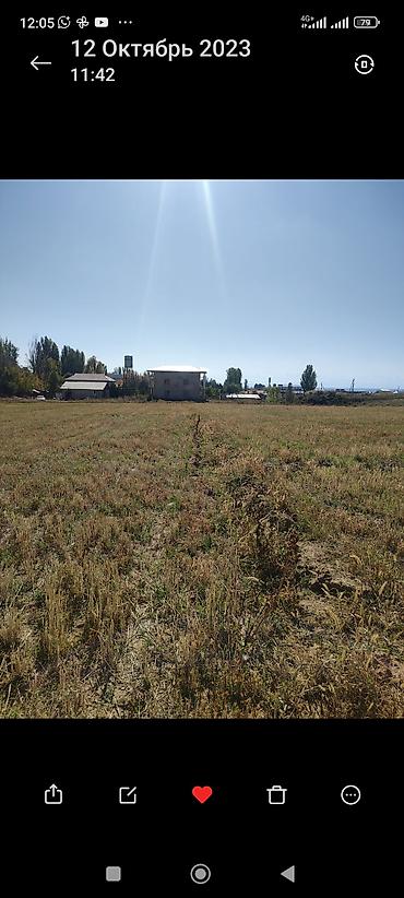 Продажа участков: 13 соток, Для бизнеса — 3