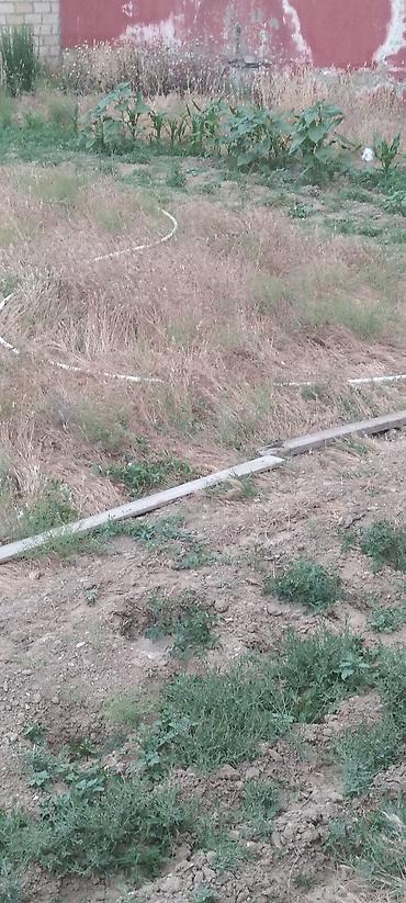 Torpaq sahələrinin satışı: Kənd təsərrüfatı — 1