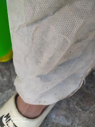 Дезинфекция, дезинсекция: Дезинфекция, дезинсекция, | Клопы, Блохи, Тараканы, | Транспорт, Офисы, Квартиры — 2