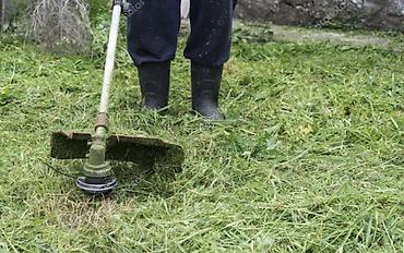 Другие товары для дома и сада: Услуги Садовника Стрижка живой изгороди Уборка дикой травы Покос at lalafo.kg — 8 Другие товары для дома и сада: Услуги Садовника Стрижка живой изгороди Уборка дикой травы Покос — 8