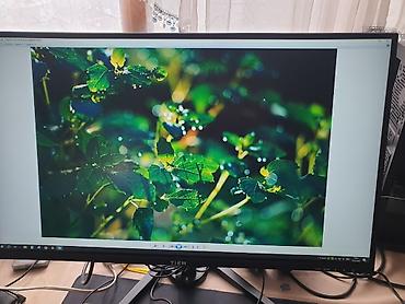 Мониторы: Монитор, Б/у, 26" - 27" at lalafo.kg — 14 Мониторы: Монитор, Б/у, 26" - 27" — 14