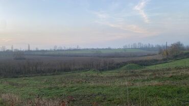 Torpaq sahələrinin satışı: Kənd təsərrüfatı, Mülkiyyətçi — 13